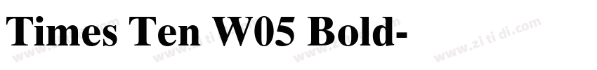 Times Ten W05 Bold字体转换